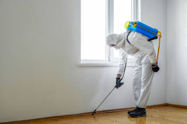 Best Emergency Pest Control  in Canterwood, WA